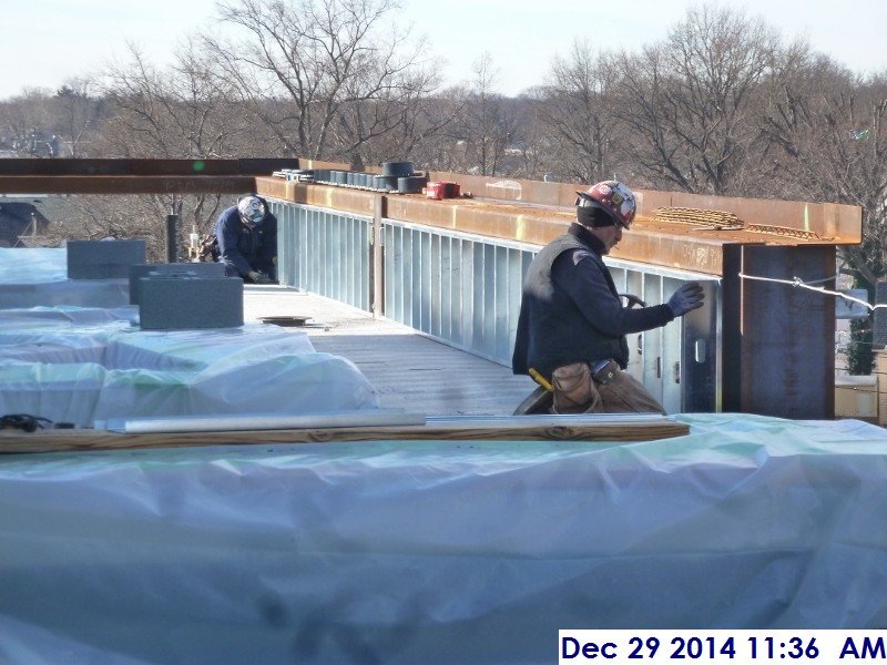 Started metal framing the Low Roof 2